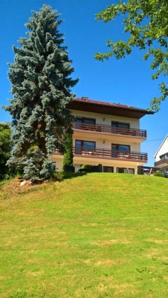 Pension Dabrunz Heimbach Esterno foto