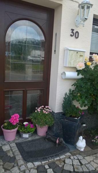 Pension Dabrunz Heimbach Esterno foto